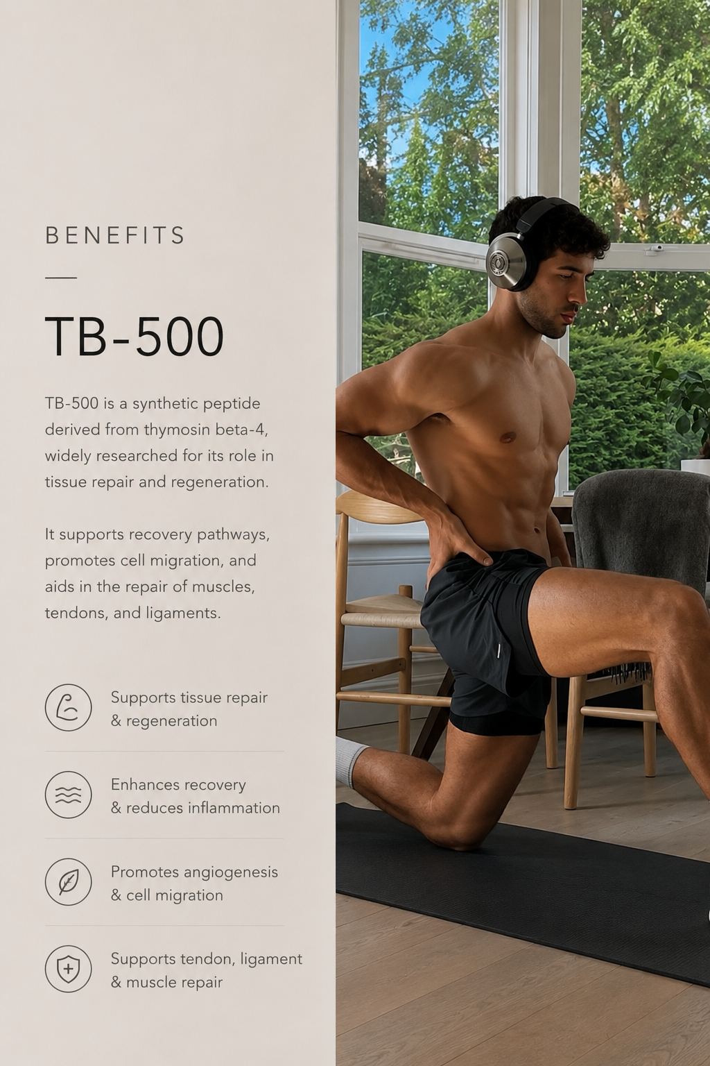 TB - 500